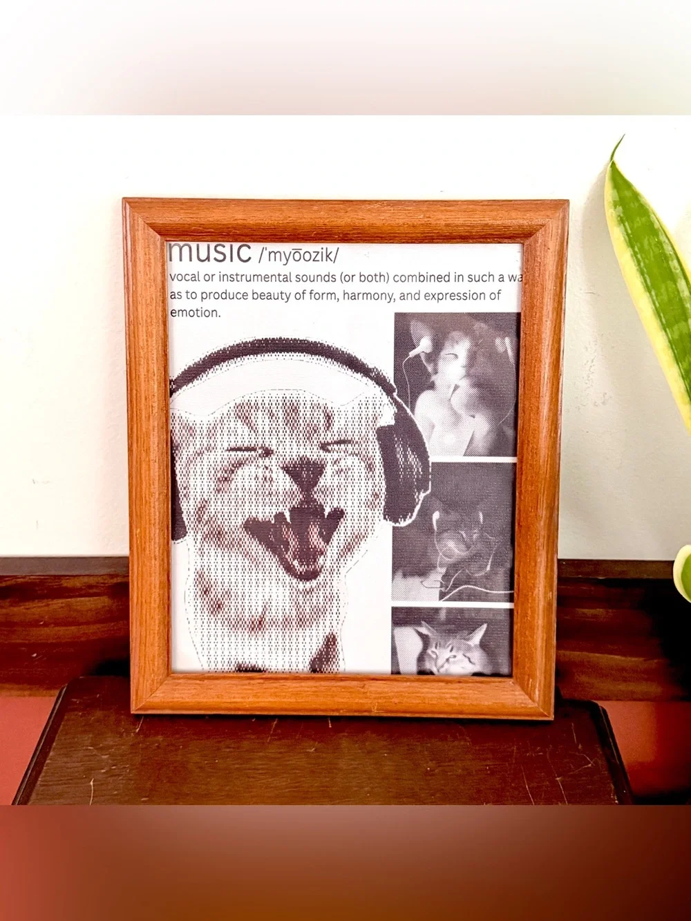 Music Definition Cats w Headphones Earbuds Kitties Canvas Art Print Wood Framed